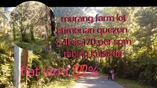 MURANG FARMLOT SA ATIMONAN QUEZON 34,775,SQM, 170,PER SQM, CP#,09089813178,
