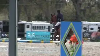 Video of COUPE DE CHANCE ridden by Leigh Gallagher from ShowNet!