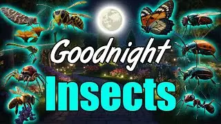 Goodnight Garden Insects🌙COZİEST Calming Bedtime Story for Babies and Toddlers with Relaxing Music