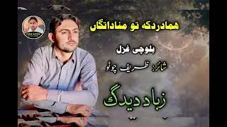 Zabad Deedag | New Balochi Ghazal | Hama Dard Ke Tu Mana Dataga | Shaher: Zareef Chouto