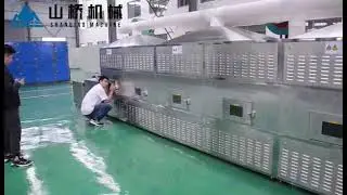 Microwave dryer.Rapid drying of peanuts.#dryer #drying #microwavedryer