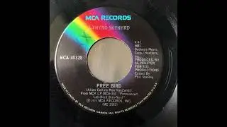 Freebird (Lynyrd Skynyrd) x Mercury (HiLo & Space 92) - DJ Lotta Live Mashup