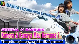 Tempat wisata murah di Bandung|Cafe critical 11| bisa  nongkrong  sambil lihat pesawat
