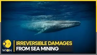 Deep-sea mining pose 'risk to ocean ecosystems': Study | WION Climate Tracker
