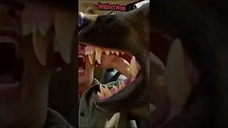 Don&rsquo;t provoke it. #animal behavior, #animal instincts, #wildlife reactions