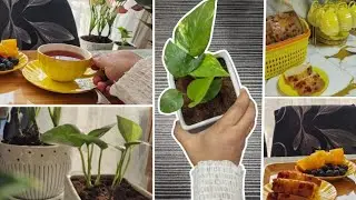 The Art of Slow Living | Simple life in Dubai | Silent vlog | Aesthetic vlog |Asmr Vlog |Dubai Vlog