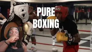 WOW! Skilled PURE Boxers Step To Eachother In Sparring Session Reaction! #boxing #sparring #reaction