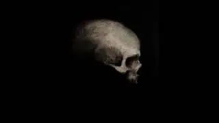 [FREE] Dark Trap x Experimental Type Beat - 