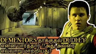 What Did Dudley saw during dementors attack ?