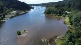 Humedal Rio Cruces - Valdivia