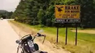 BIKER LIFE /     Ride Hard-Die Free