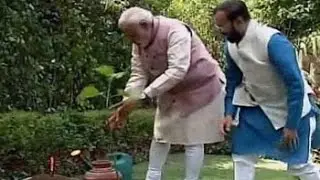 On World Environment Day, PM Modi plants a sapling