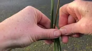 Making a St.Brigid&rsquo;s Cross
