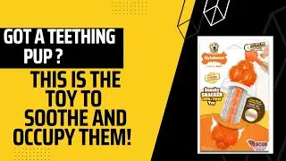 Nylabone Sneaky Snacker Review