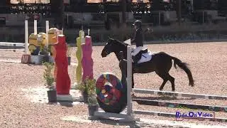 272S Elisa Karnavy on Buzz Ryder JR Beginner Novice Championship Show Jumping Galway Downs Nov. 2024