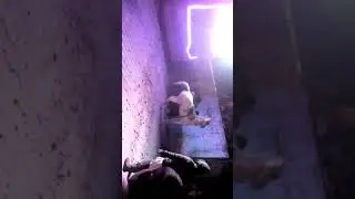 ghode ka dance