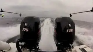 Team Scandinavian Trolling Teaser