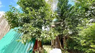 Truhaus Tagaytay 2BR Entire Place with Jacuzzi, Philippines