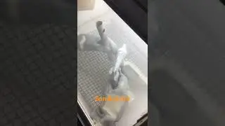sandblaster homemade