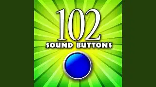 Camera Shutter Button