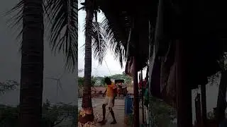 #chettu tokesam 🌴🌴🌴