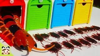 Thomas Trains, Tayo Bus Garage Toy Cockroach Monster & Centipede Insect Story for Kids | Borami Toys