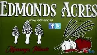 Welcome to Edmonds Acres