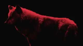 Aaron Asteria - Blood Sky - Official Video