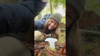 Jelly Fungus with Teeth: Cat&rsquo;s Tongue Fungus