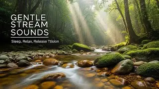 Natural Forest Ambience with Gentle Water Flow for Study Meditation Inner Peace and Stress Relief