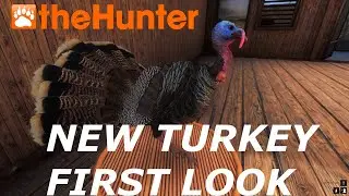 New Turkey Models First Look theHunter Classic 2020 1440p