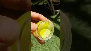 CG Beauty Water Activated Neon vs Pastel Eyeliner (Shade-Golgappa) #eyemakeup #hydraliner #shorts