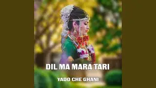 DIL MA MARA TARI × YADO CHE GHANI (Preview)