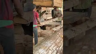 Mastering Precision Cutting and Wood Processing Insights from Expert Sawmill Operators #wood