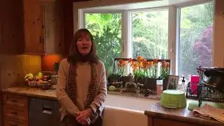 Kimochis&reg; Keys to Communication #4