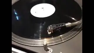 Shavo puszcza Steal This Album! z reedycji winylu