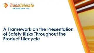 A Framework on the Presentation of Safety Risks Throughout the Product Lifecycle Overview Video