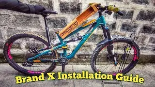Brand X Ascend 