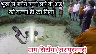 बांकी नदी और श्री नदी उद्गम स्थान - Story of Shri Banki River । CG jashpur, India