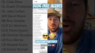 Breaking Down The Carolina Panthers 2026 Free Agent Class