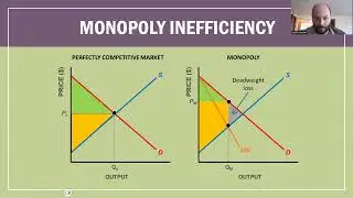 Monopoly and DWL