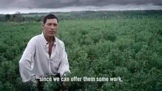 Sweet In So Many Ways - A Farmer's View on Stevia