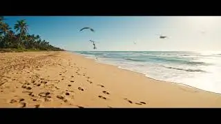 প্লাস্টিক দূষণ থামান ,Stop Plastic Pollution  Save Our Planet The Nature Letters