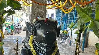 Nandhi prathista pooja #blessings #prayer #sreelakshmicreation #pooja #ashirvadam