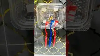 Smart Bathroom Hack | DIY Toothbrush Holder Using Waste Plastic Box #homehacks #ytshorts #lifehack