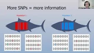 Traveling Tuna: Using genetic approaches to understand stock structure of Pacific Albacore