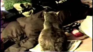 185668232 housesession---------------