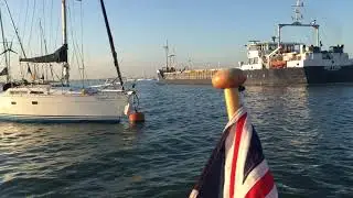 LAPWING on a buoy at Queenborough Harbour