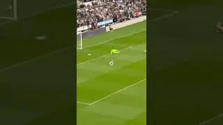 Newcastle United 6-1 v spurs         #premierleague #youtubeshorts #ytshorts #newcastleutd #magpies