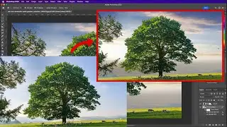 Change sky image in photoshop